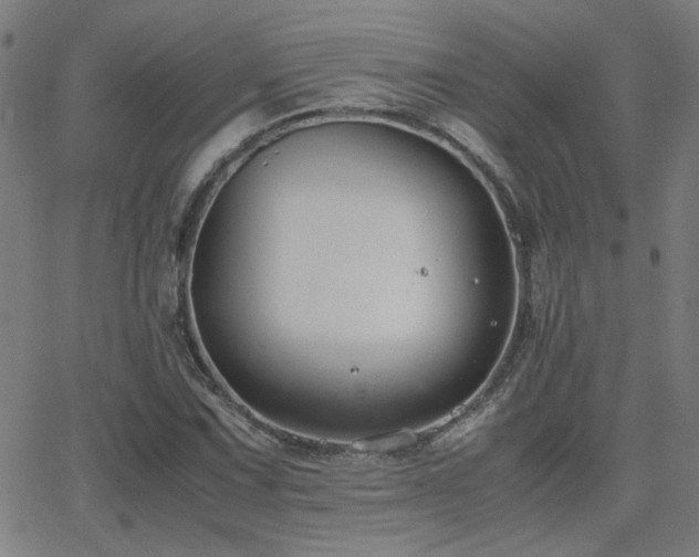 X0000062851067200601131344