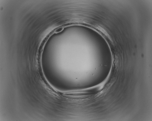 X0000062851068200601131344