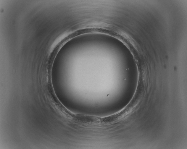 X0000062851069200601131344