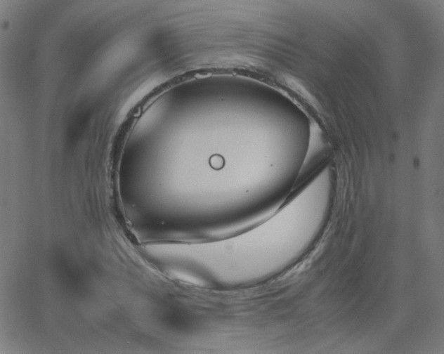 X0000062851071200601131344