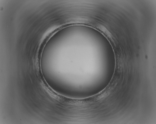 X0000062851072200601131344