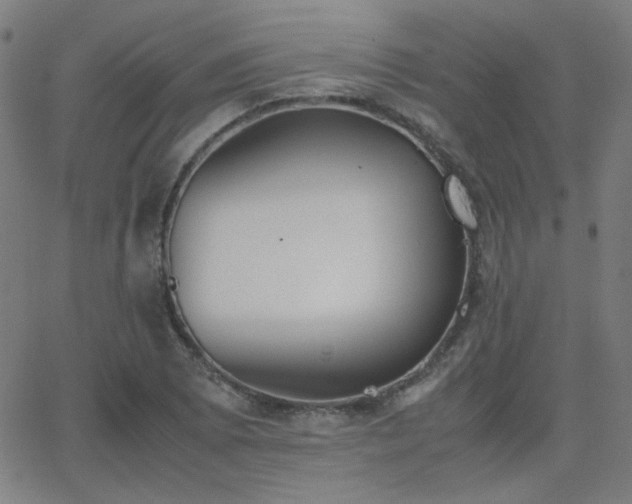 X0000062851073200601131344