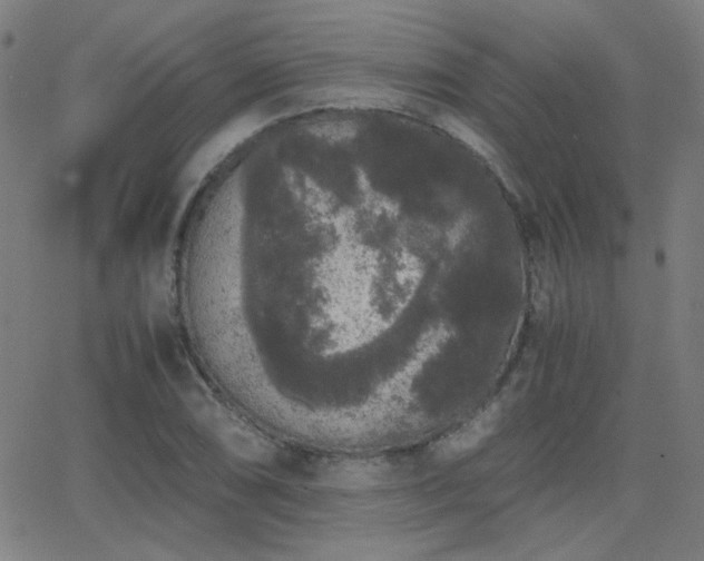 X0000062851074200601131344