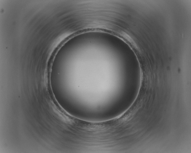 X0000062851076200601131344