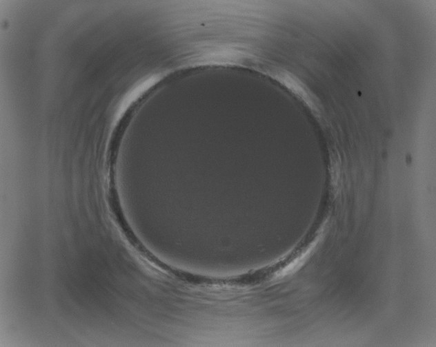 X0000062851077200601131344