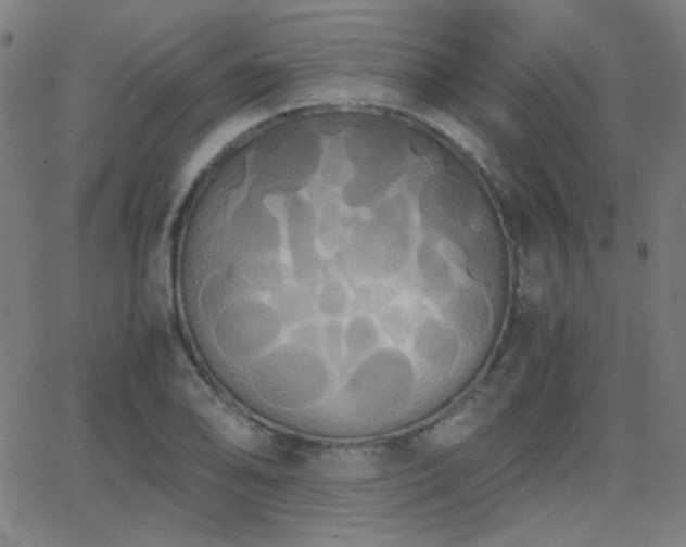 X0000062851078200601131344