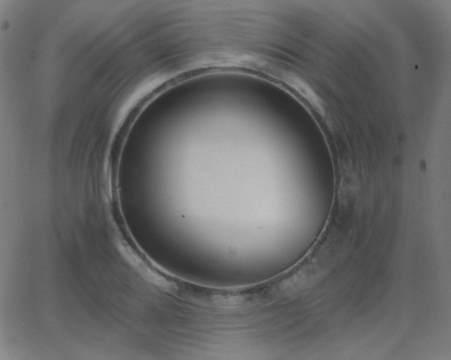 X0000062851080200601131344