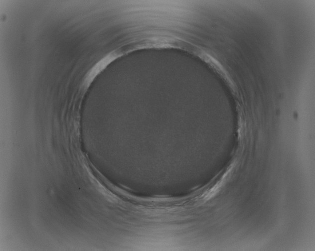 X0000062851081200601131344