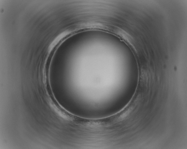 X0000062851082200601131343