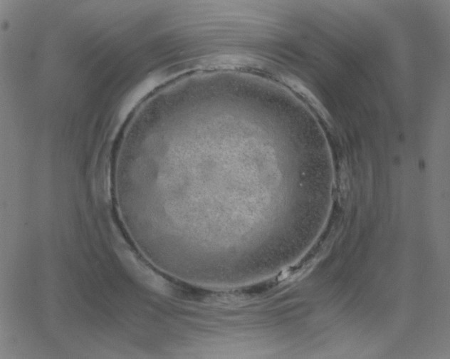 X0000062851083200601131343