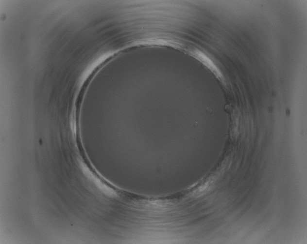 X0000062851084200601131343