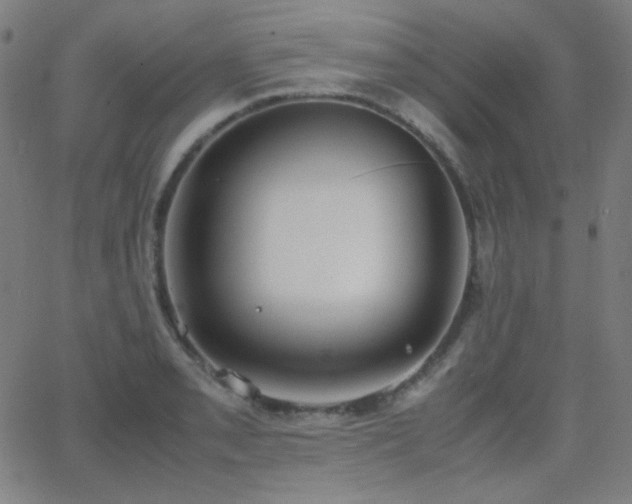 X0000062851085200601131343