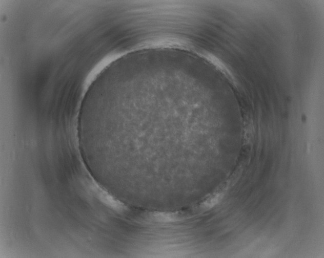 X0000062851086200601131343