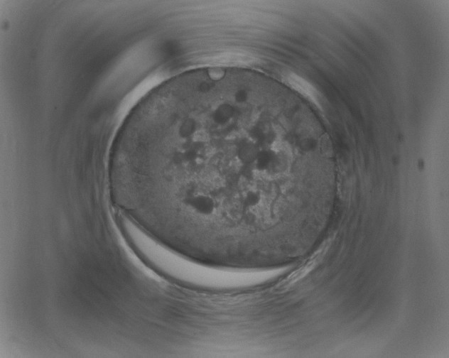 X0000062851087200601131343