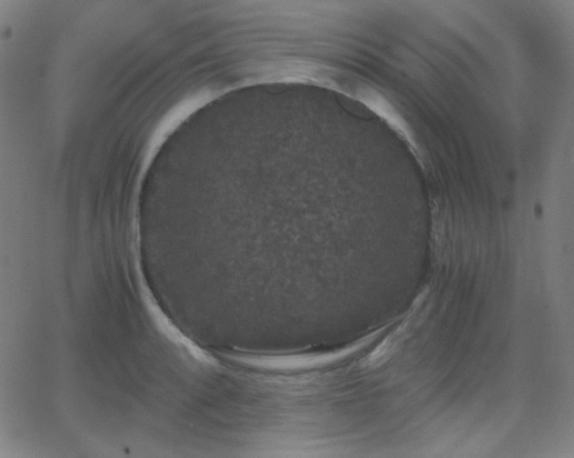 X0000062851088200601131343