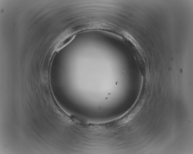 X0000062851089200601131343