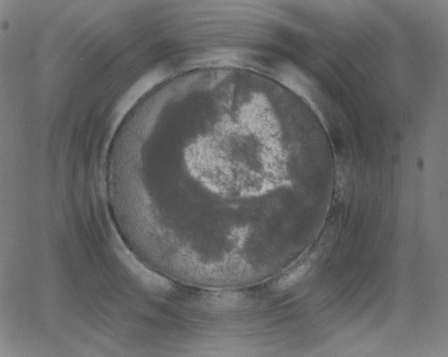 X0000062851090200601131343