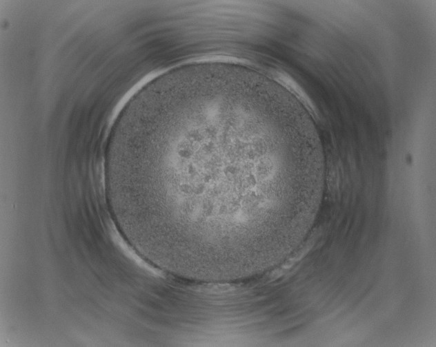 X0000062851092200601131343