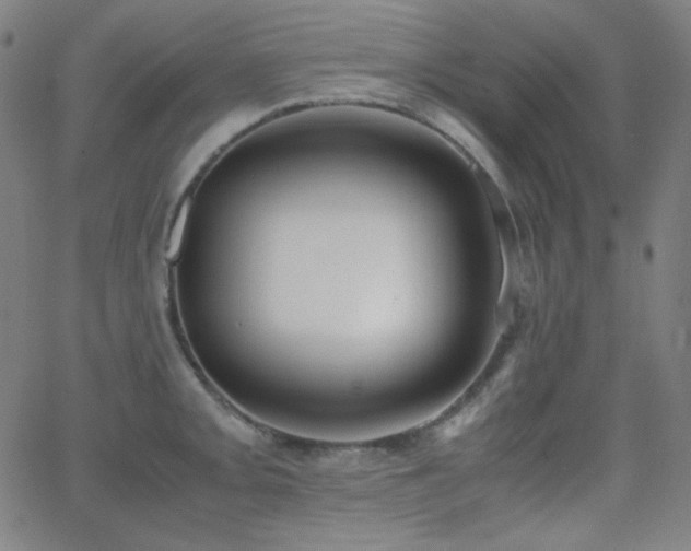 X0000062851093200601131343