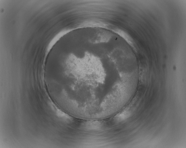 X0000062851094200601131343