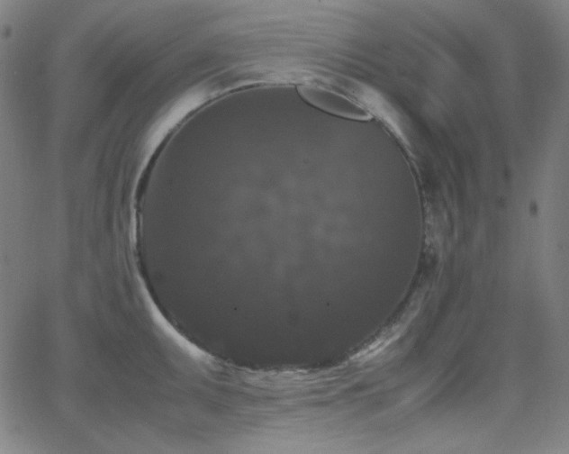 X0000062851095200601131343