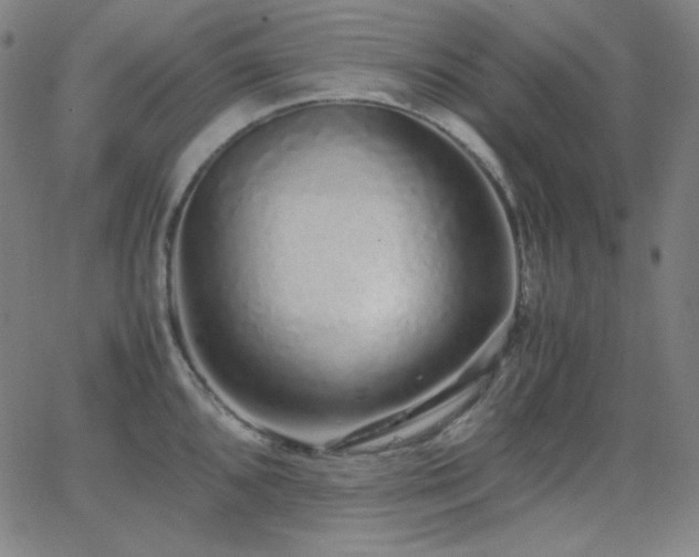 X0000062851096200601131343