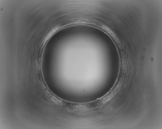 X0000062851097200601131343