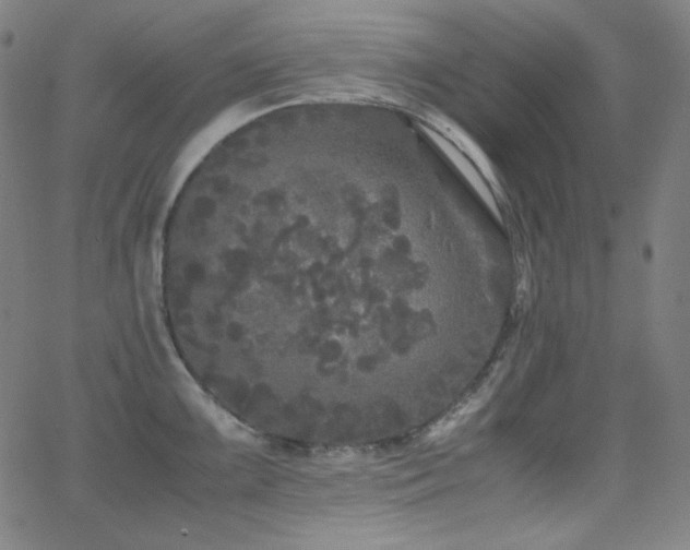 X0000062851099200601131343