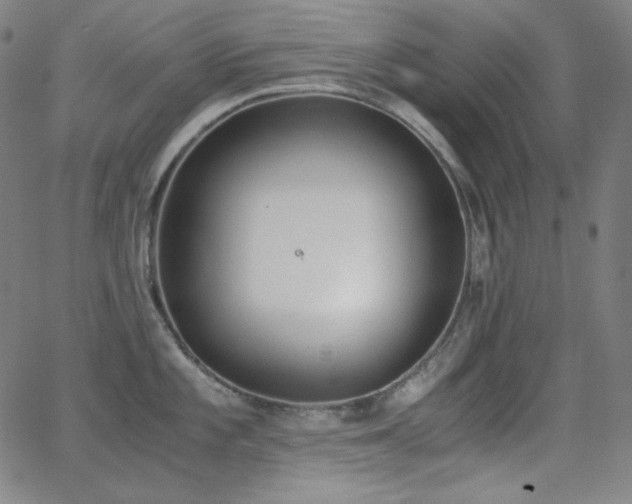 X0000062851101200601131343