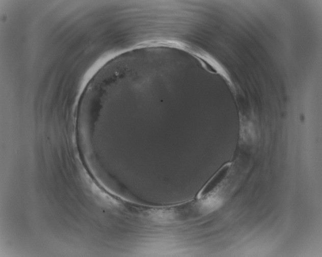 X0000062851102200601131343