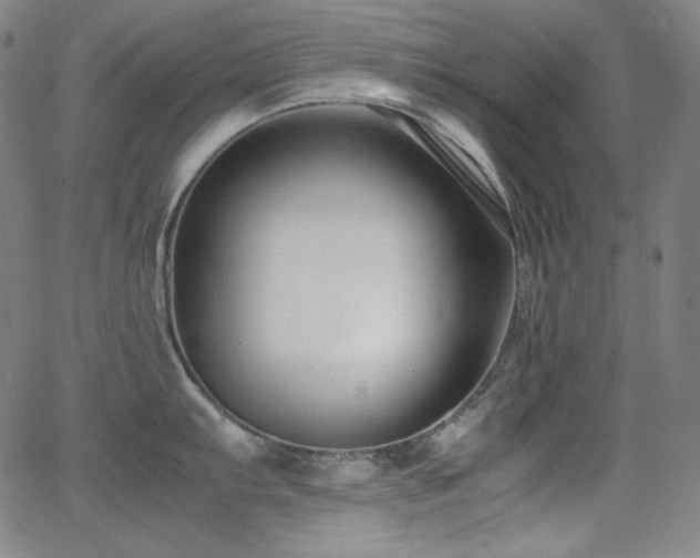 X0000062851103200601131343