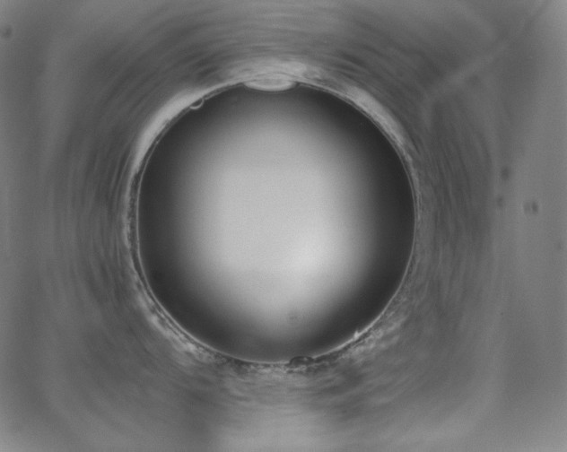 X0000062851104200601131343