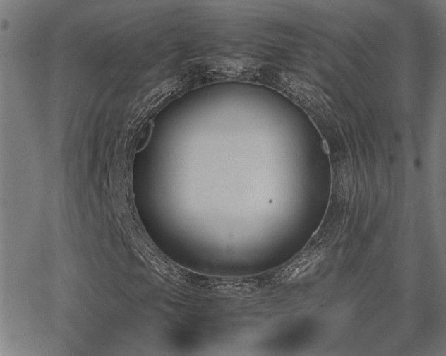 X0000062851105200601131342