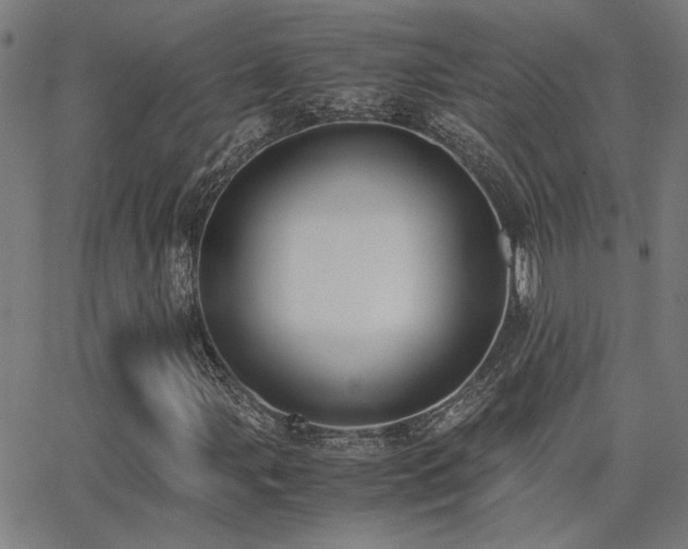 X0000062851107200601131342