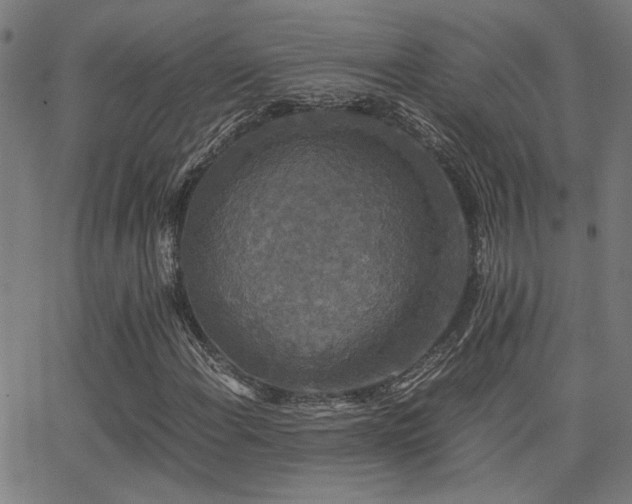 X0000062851108200601131342