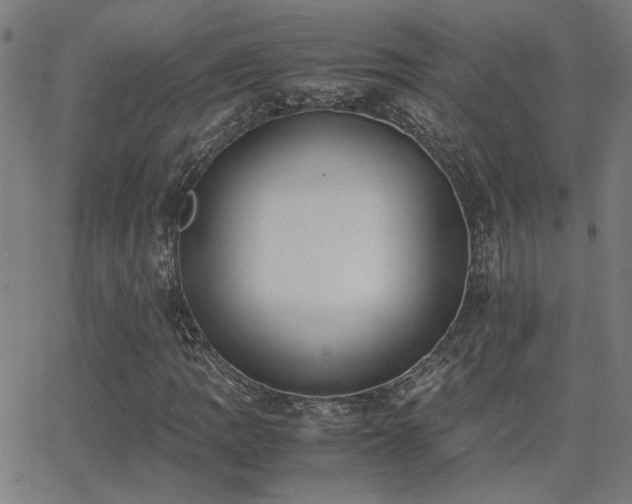 X0000062851109200601131342