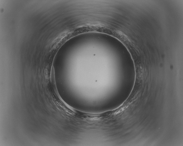 X0000062851110200601131342