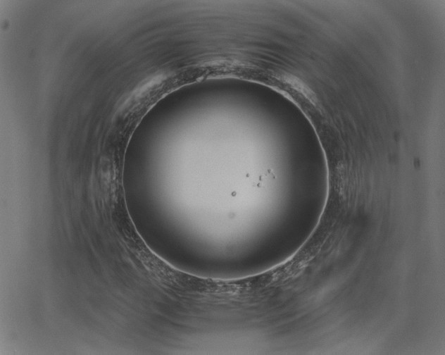 X0000062851111200601131342