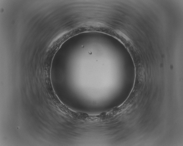 X0000062851112200601131342