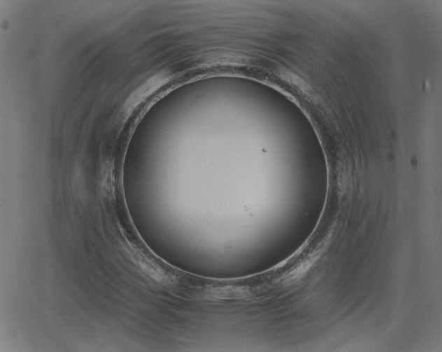 X0000062851113200601131342