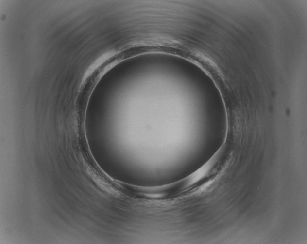 X0000062851114200601131342