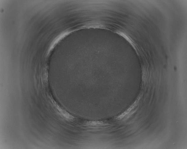 X0000062851115200601131342