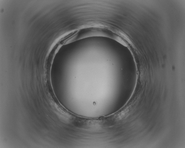 X0000062851116200601131343