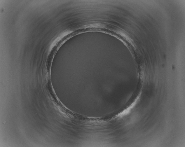 X0000062851117200601131343