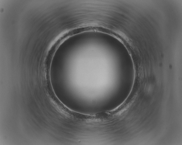 X0000062851118200601131343