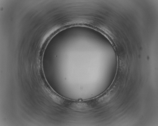 X0000062851119200601131343