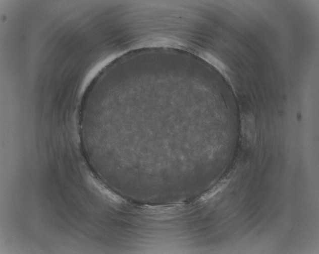 X0000062851120200601131343