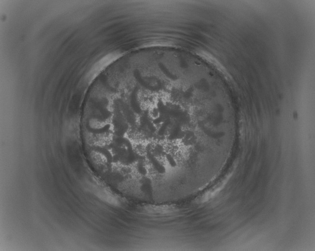 X0000062851121200601131343