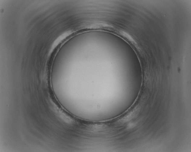 X0000062851122200601131343