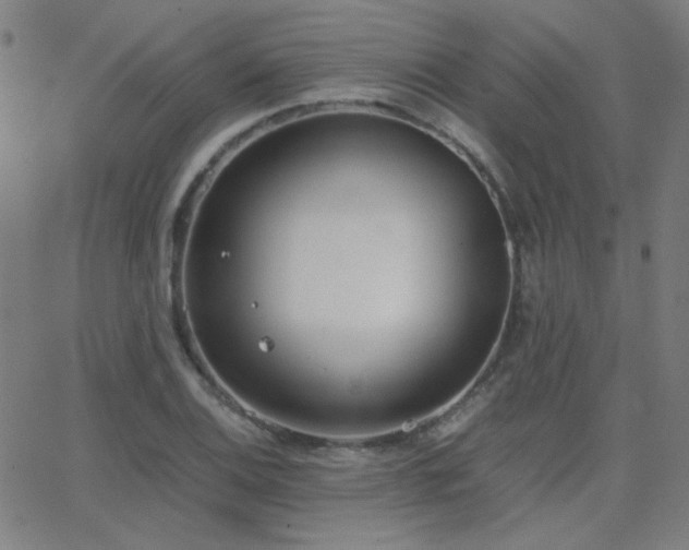 X0000062851124200601131343